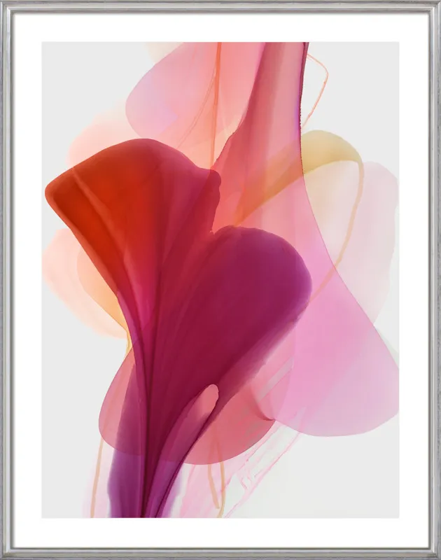 Abstract Flora Bloomlands 33 by Marta Spendowska for Artfully Walls