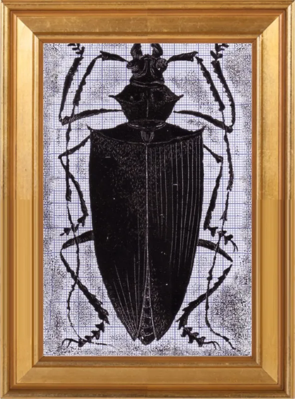 Black Beetle on Grey by Tennopent Sooster for Artfully Walls