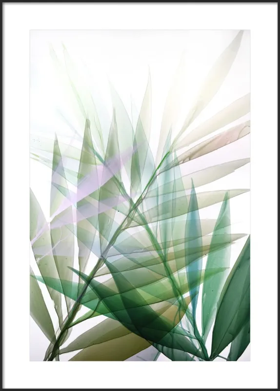 Tropical Study no. 8 by Marina Dunbar  for Artfully Walls