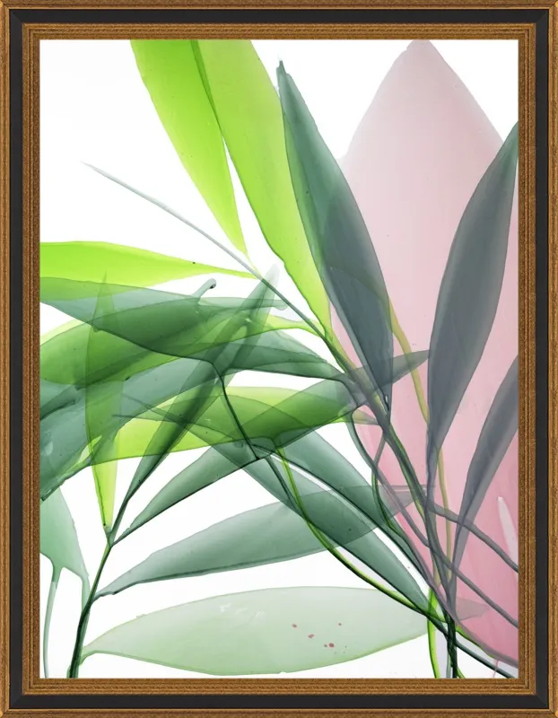 Tropical Study no. 15 by Marina Dunbar  for Artfully Walls