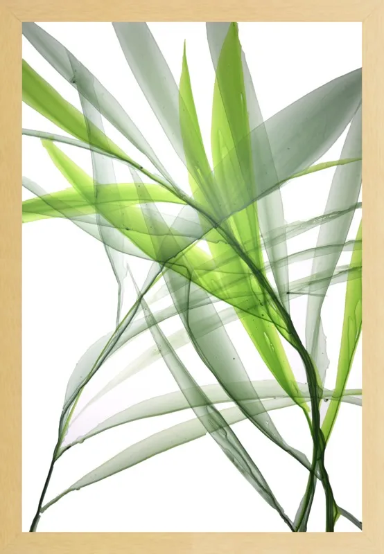 Tropical Study no. 3 by Marina Dunbar  for Artfully Walls