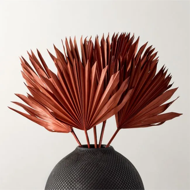 Dried Brown Sun Palm Stems 17"