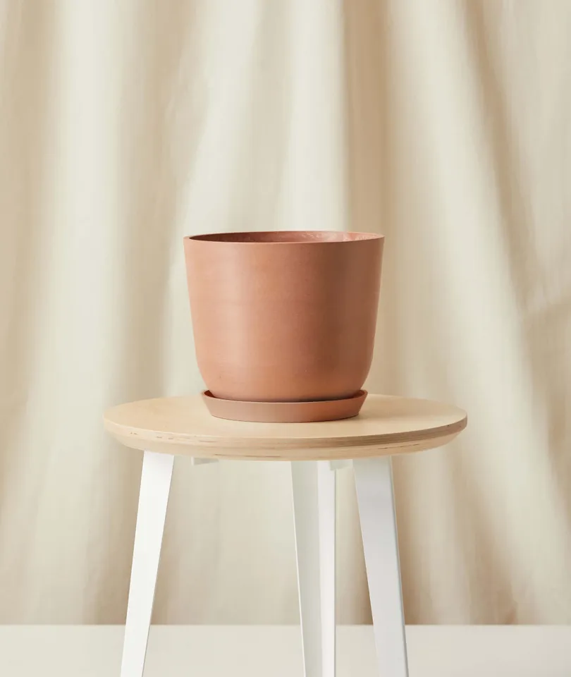 Ecopots Bell Pot - Medium (10") -  Clay