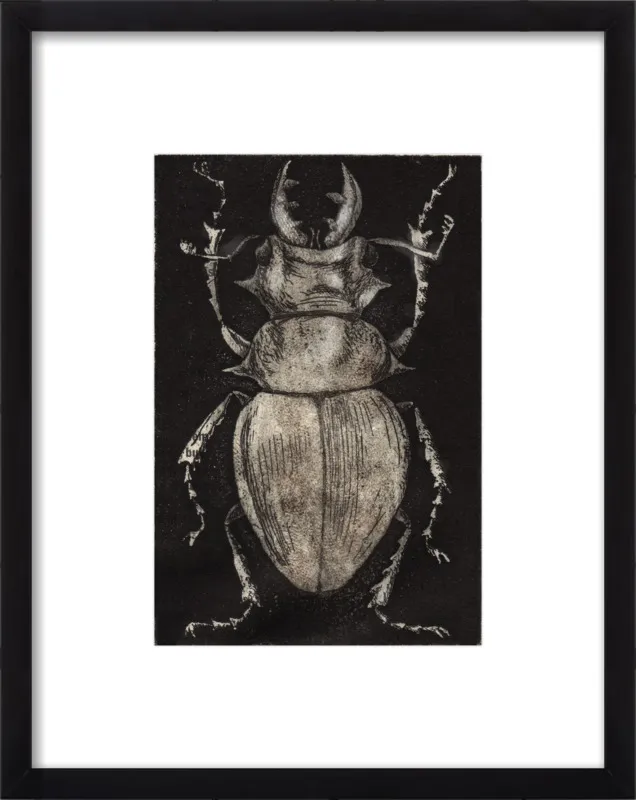 Grey Beetle on Black by Tennopent Sooster for Artfully Walls