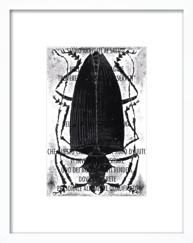 Black Beetle on Words by Tennopent Sooster for Artfully Walls
