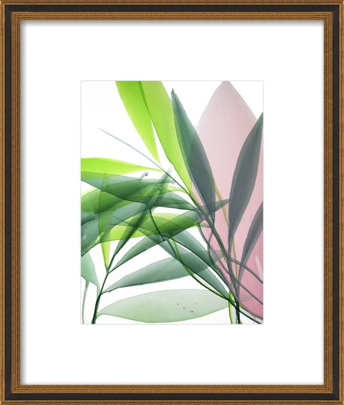 Tropical Study no. 15 by Marina Dunbar  for Artfully Walls