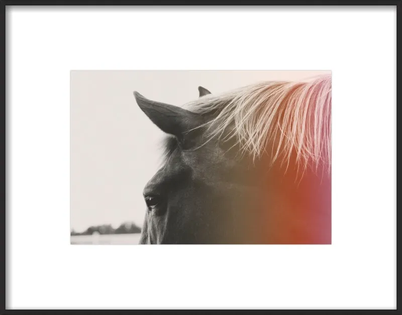Pink Pony by Alicia Bock for Artfully Walls