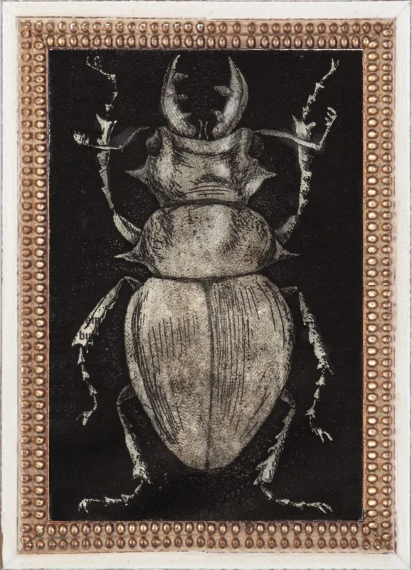 Grey Beetle on Black by Tennopent Sooster for Artfully Walls