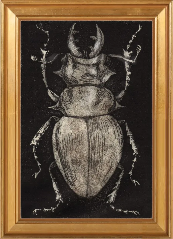 Grey Beetle on Black by Tennopent Sooster for Artfully Walls