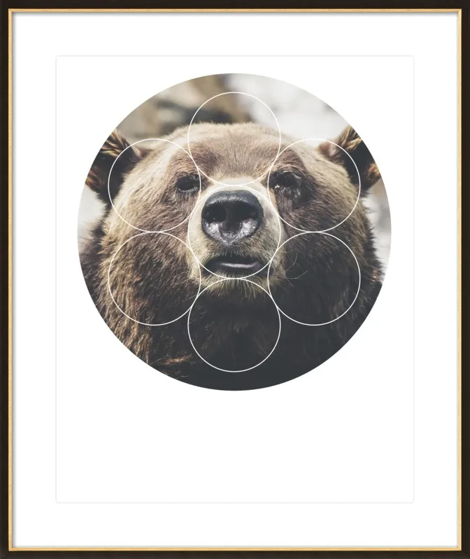 Big Bear Buddy - Geometric Photography by Emiliano Deificus for Artfully Walls