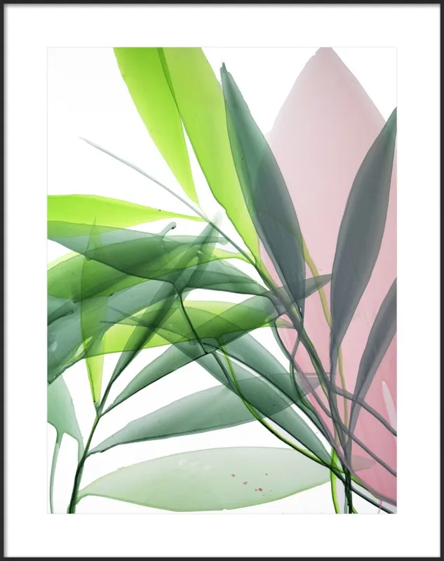 Tropical Study no. 15 by Marina Dunbar  for Artfully Walls
