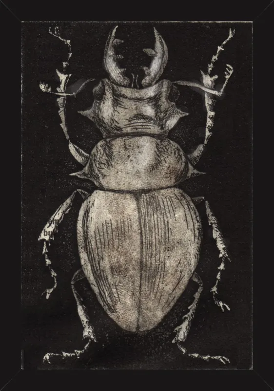 Grey Beetle on Black by Tennopent Sooster for Artfully Walls