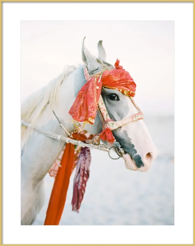 Marwari by Andrew Jacona for Artfully Walls