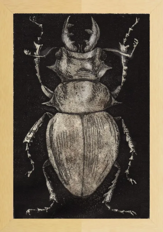 Grey Beetle on Black by Tennopent Sooster for Artfully Walls