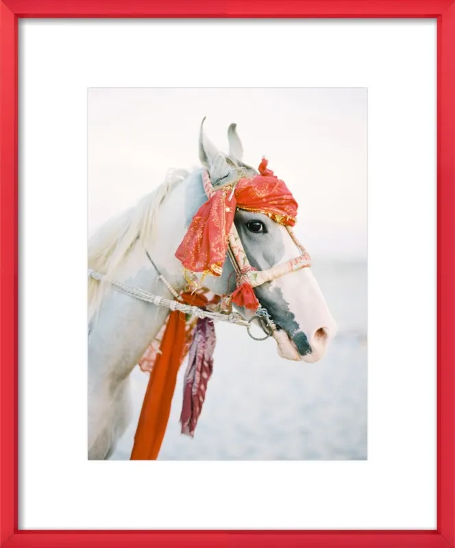 Marwari by Andrew Jacona for Artfully Walls