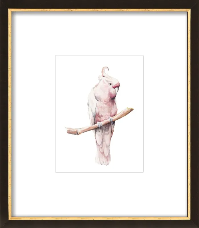 Rose Breasted Cockatoo Watercolor by Lauren Rogoff for Artfully Walls
