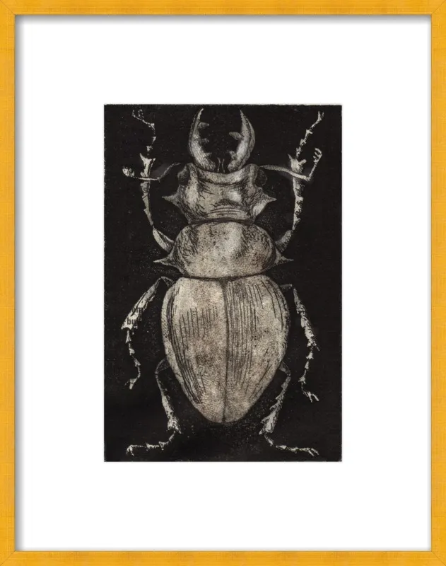 Grey Beetle on Black by Tennopent Sooster for Artfully Walls