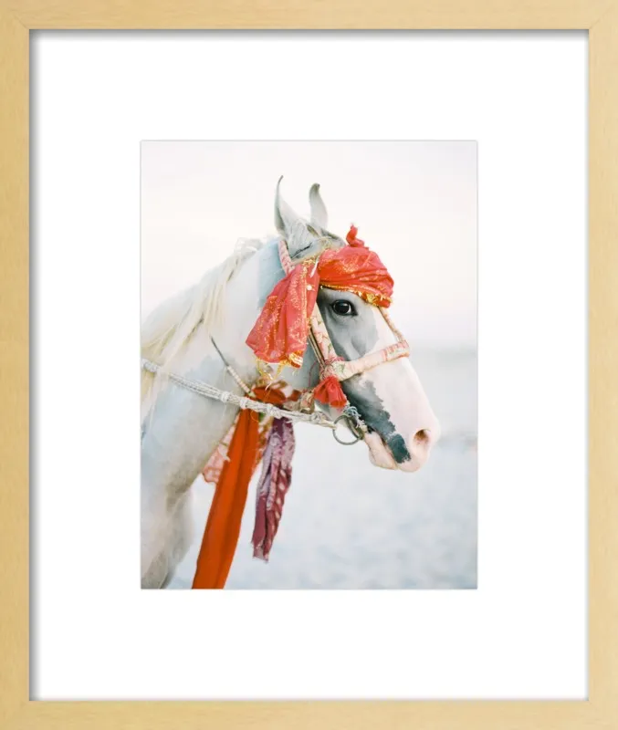 Marwari by Andrew Jacona for Artfully Walls