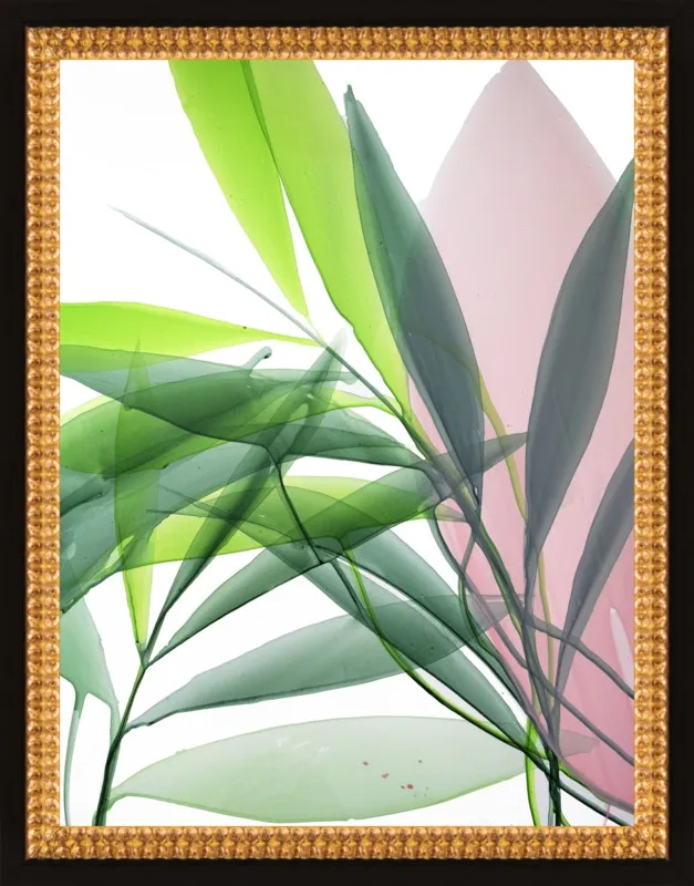 Tropical Study no. 15 by Marina Dunbar  for Artfully Walls