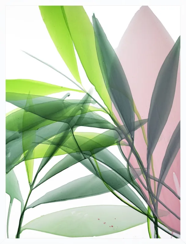 Tropical Study no. 15 by Marina Dunbar  for Artfully Walls