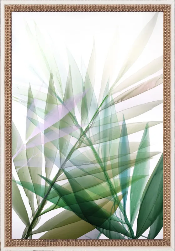 Tropical Study no. 8 by Marina Dunbar  for Artfully Walls