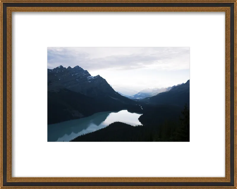 Summer Night on Peyto Lake  by Tracy Zhang for Artfully Walls