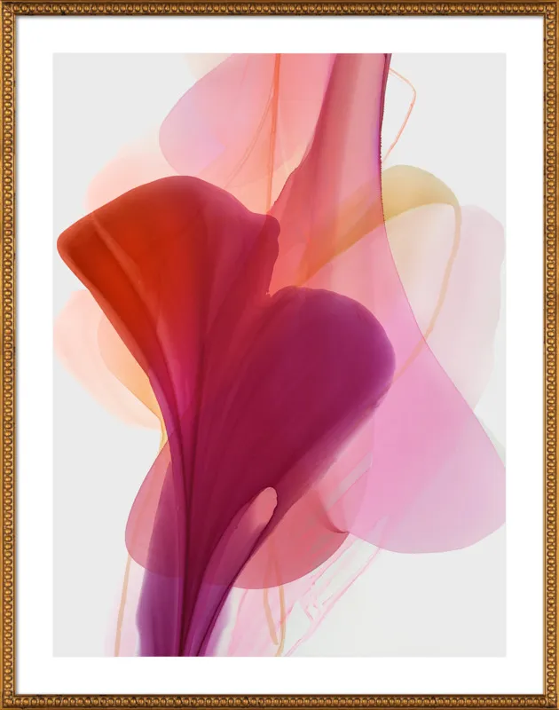 Abstract Flora Bloomlands 33 by Marta Spendowska for Artfully Walls