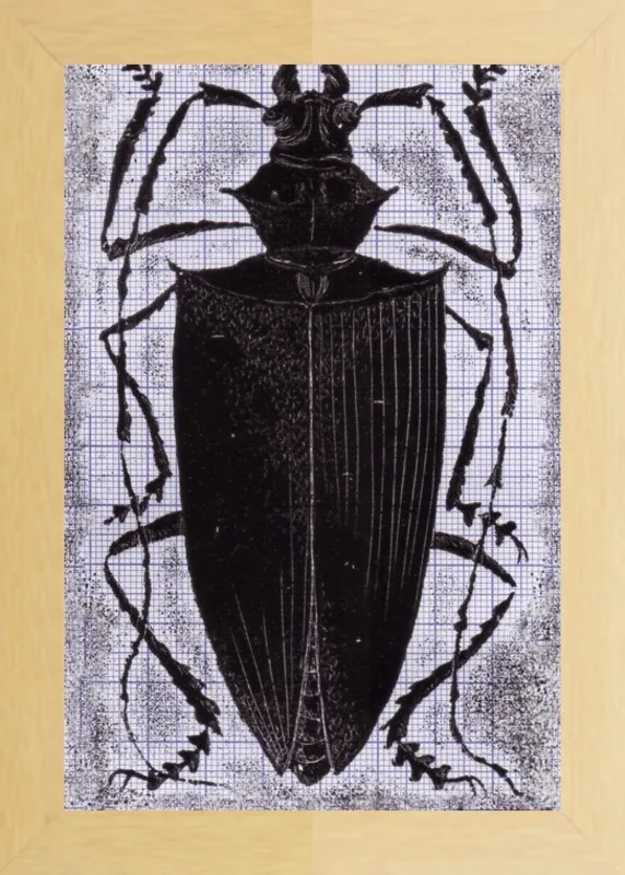 Black Beetle on Grey by Tennopent Sooster for Artfully Walls