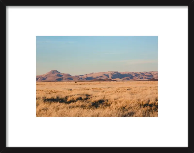 Where the Buffalo Roam by Ann Hudec for Artfully Walls