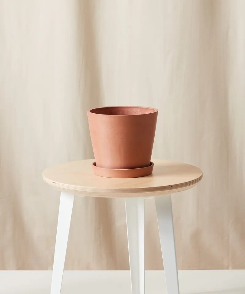 Ecopots Round Pot - Medium (8") -  Clay