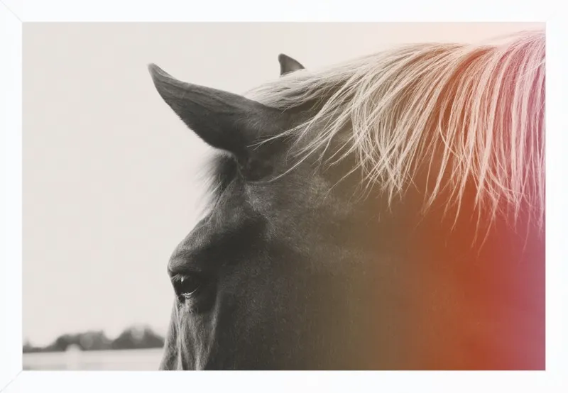 Pink Pony by Alicia Bock for Artfully Walls