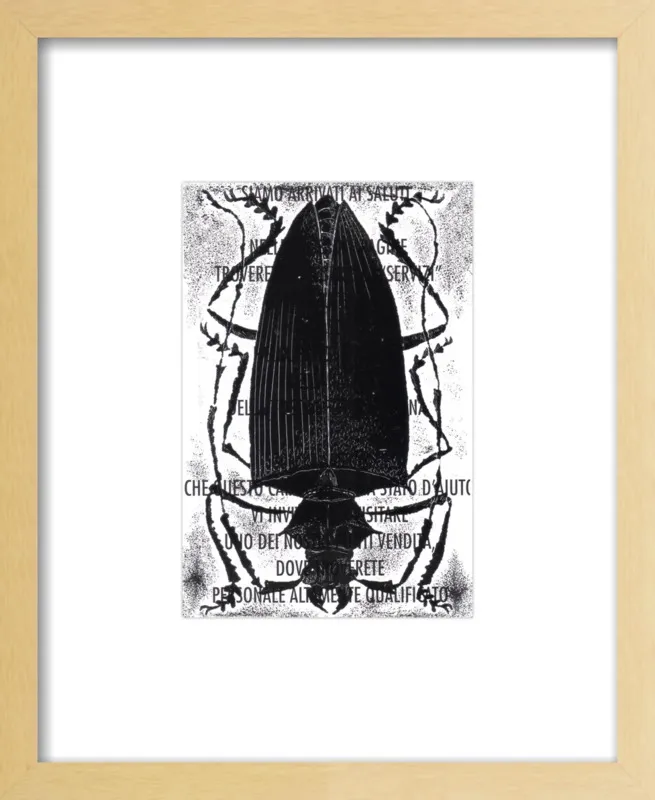 Black Beetle on Words by Tennopent Sooster for Artfully Walls