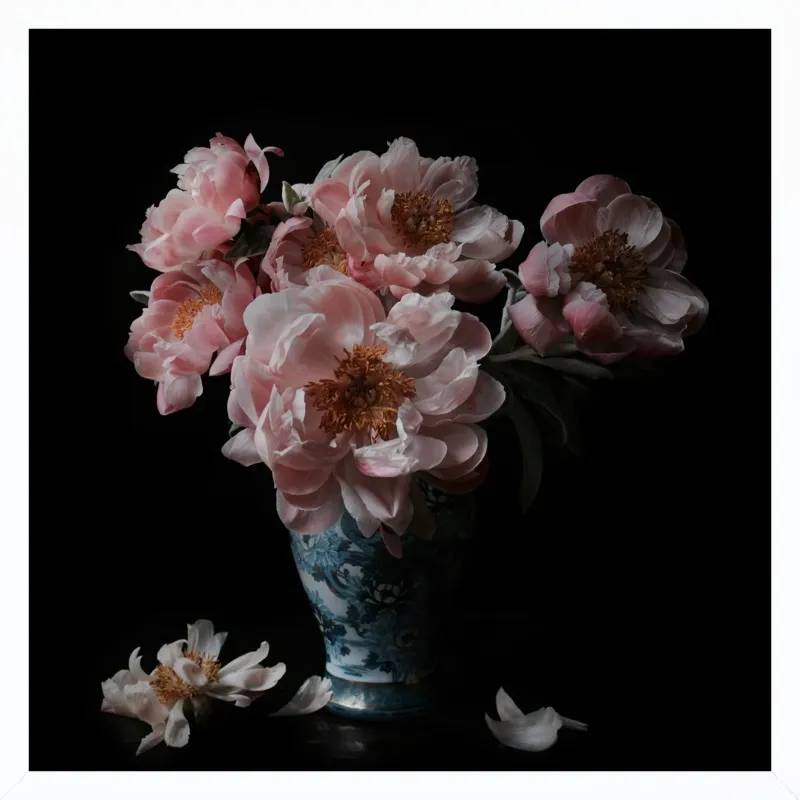 Pink Peonies  by Lucy Snowe for Artfully Walls