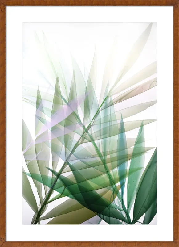 Tropical Study no. 8 by Marina Dunbar  for Artfully Walls