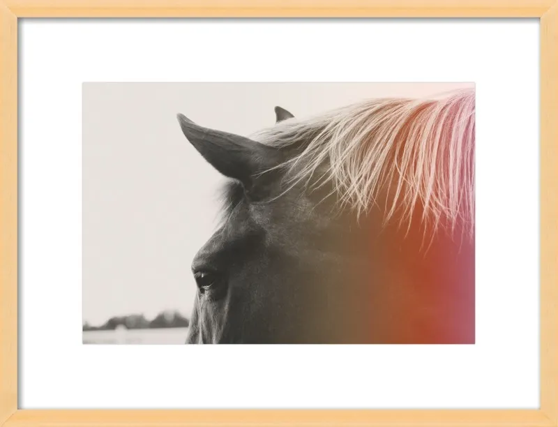 Pink Pony by Alicia Bock for Artfully Walls