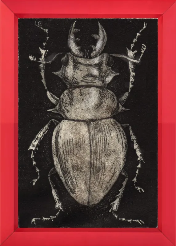 Grey Beetle on Black by Tennopent Sooster for Artfully Walls