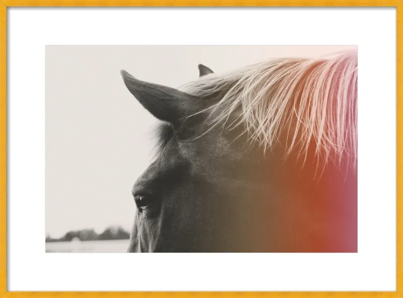 Pink Pony by Alicia Bock for Artfully Walls