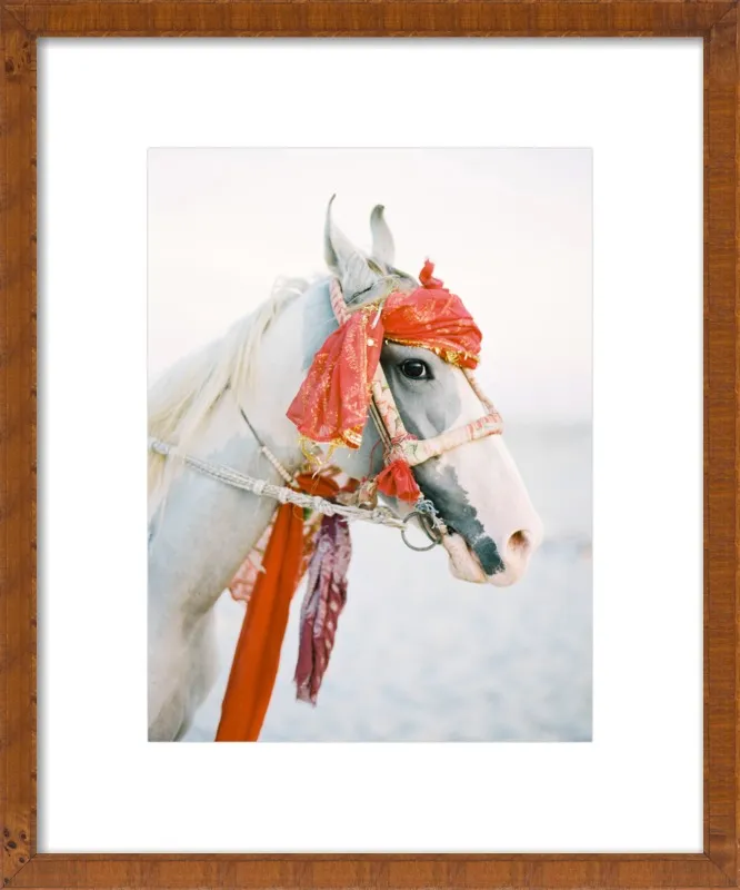 Marwari by Andrew Jacona for Artfully Walls