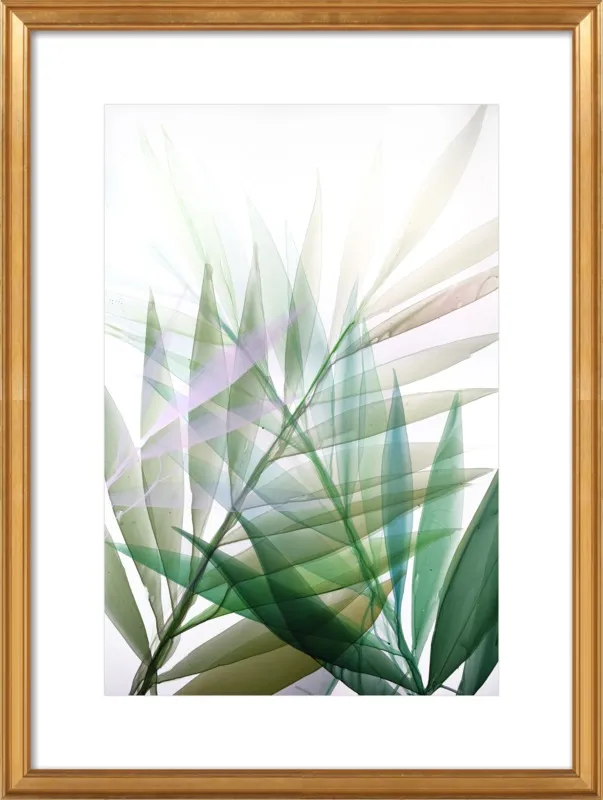 Tropical Study no. 8 by Marina Dunbar  for Artfully Walls