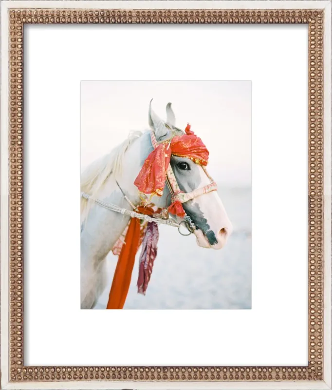 Marwari by Andrew Jacona for Artfully Walls