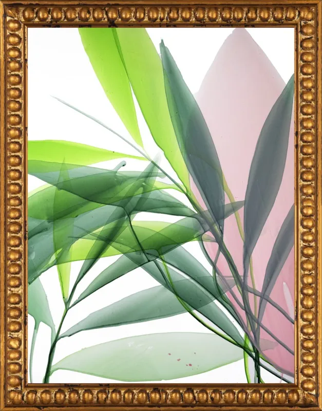 Tropical Study no. 15 by Marina Dunbar  for Artfully Walls