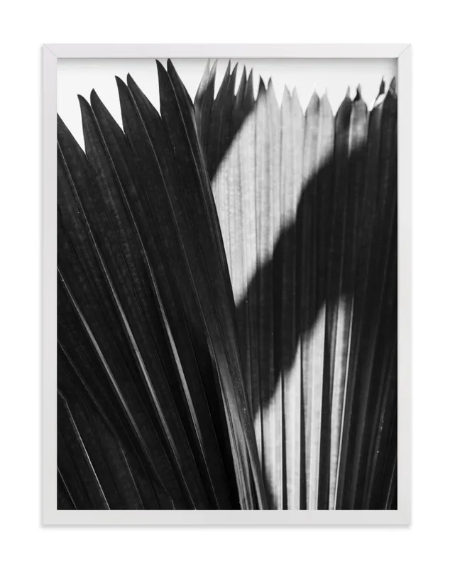 Palmery 2 Limited Edition Fine Art Print