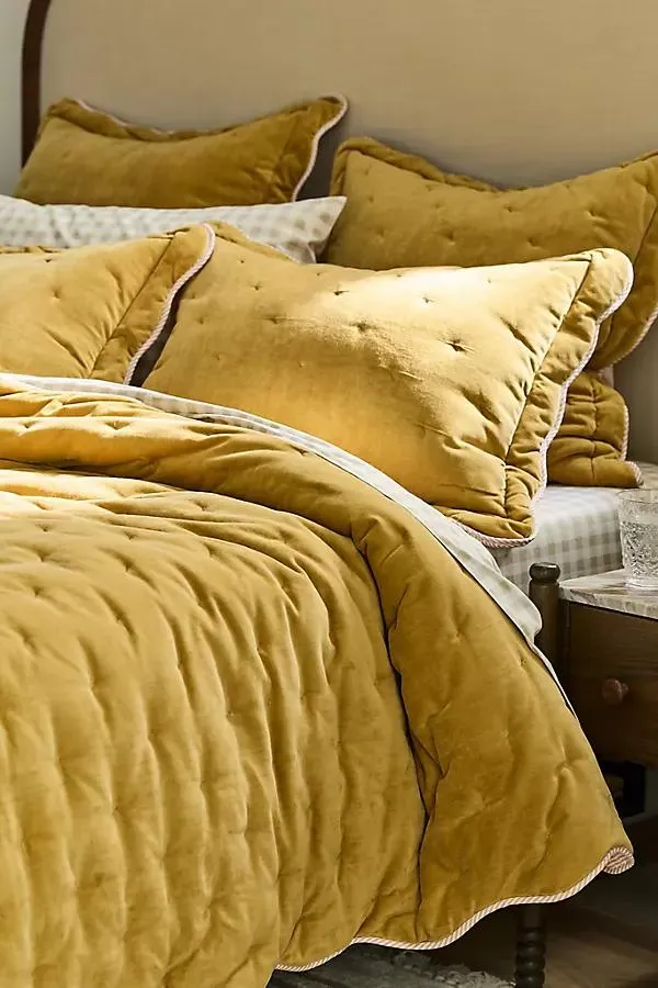 Abbott 100% Cotton Velvet Solid Scalloped Quilt