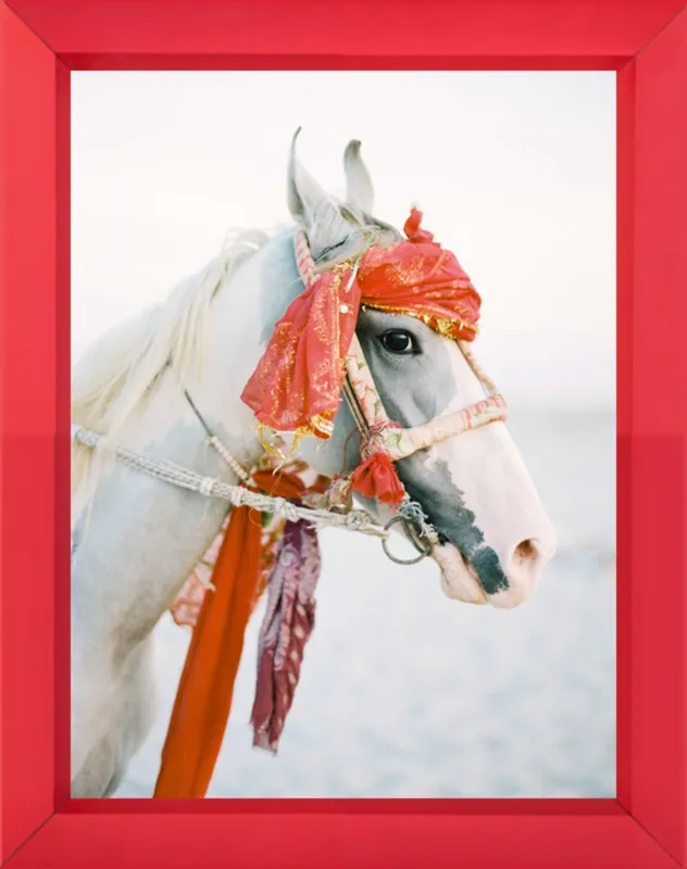 Marwari by Andrew Jacona for Artfully Walls