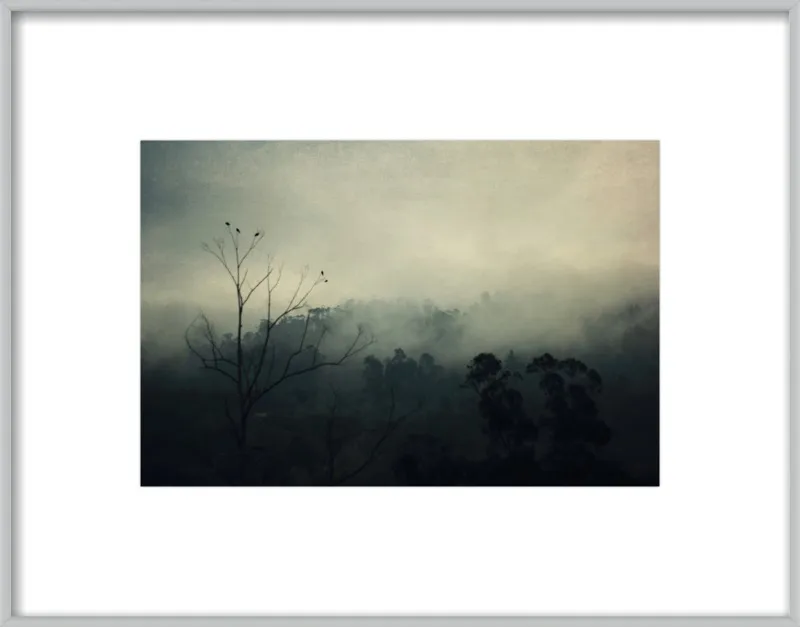 bird song by Ingrid Beddoes for Artfully Walls