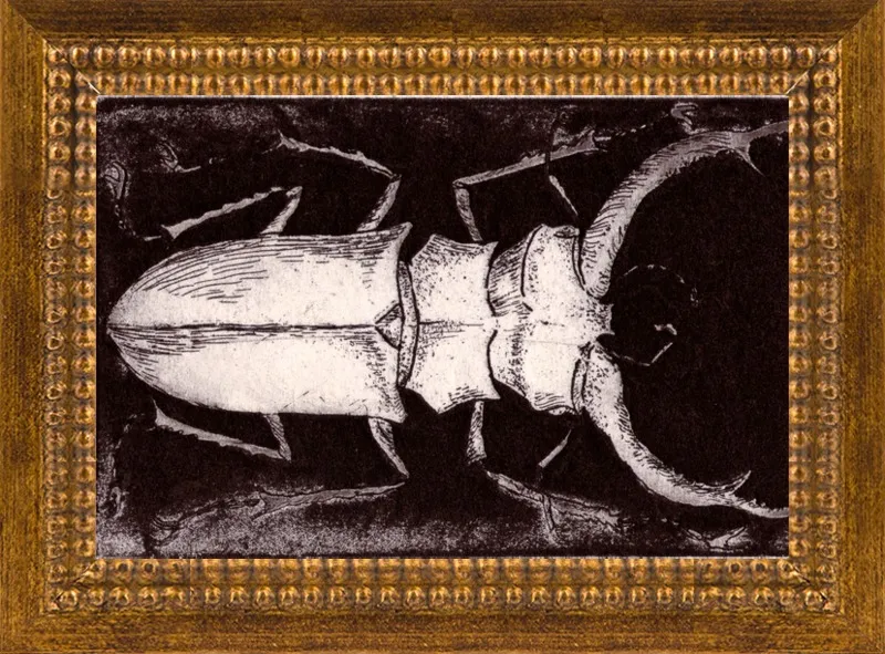 White Beetle on Dark Brown by Tennopent Sooster for Artfully Walls