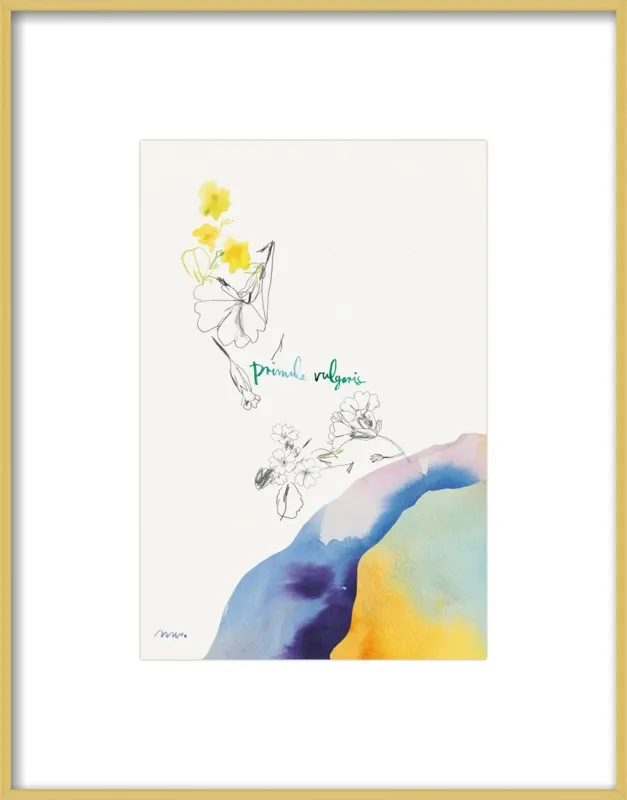 Primula Vulgaris by META WRABER for Artfully Walls