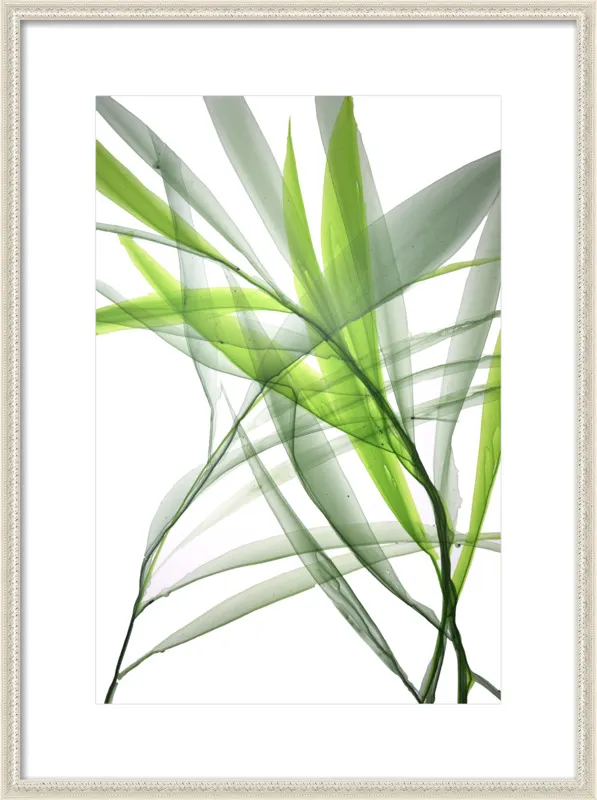 Tropical Study no. 3 by Marina Dunbar  for Artfully Walls