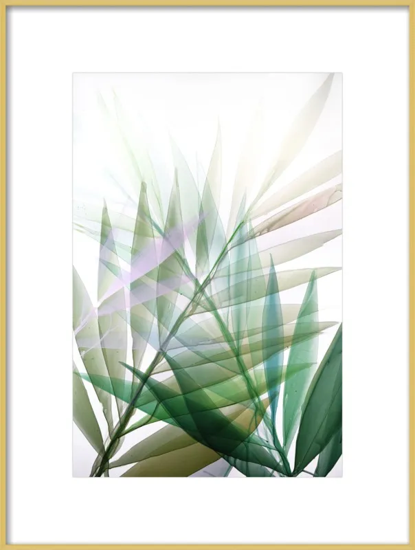 Tropical Study no. 8 by Marina Dunbar  for Artfully Walls