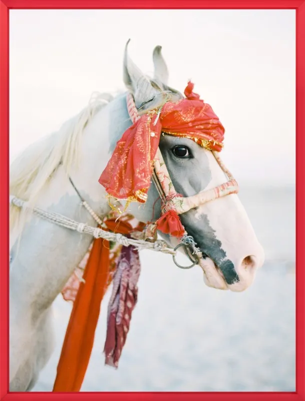 Marwari by Andrew Jacona for Artfully Walls